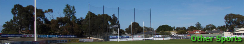 sports netting, sport net,  sports net, sports nets, sport net, sporting net, netting, net, nets, cricket net, cricket nets, cricket netting, golf net, golf nets, golf netting, soccer net, soccer nets, soccer netting 